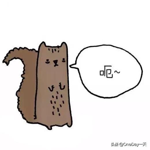 动物冷知识搞笑动画,搞笑动物冷知识22