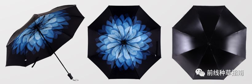 五一出游必备十大指南,五一旅游要避开哪些坑