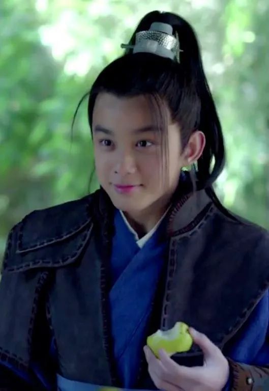 琅琊榜飞流结局和小说一样吗,琅琊榜真正结局梅长苏被飞流救了