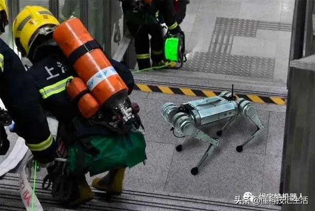 高端智能机器狗,wavego仿生机器狗