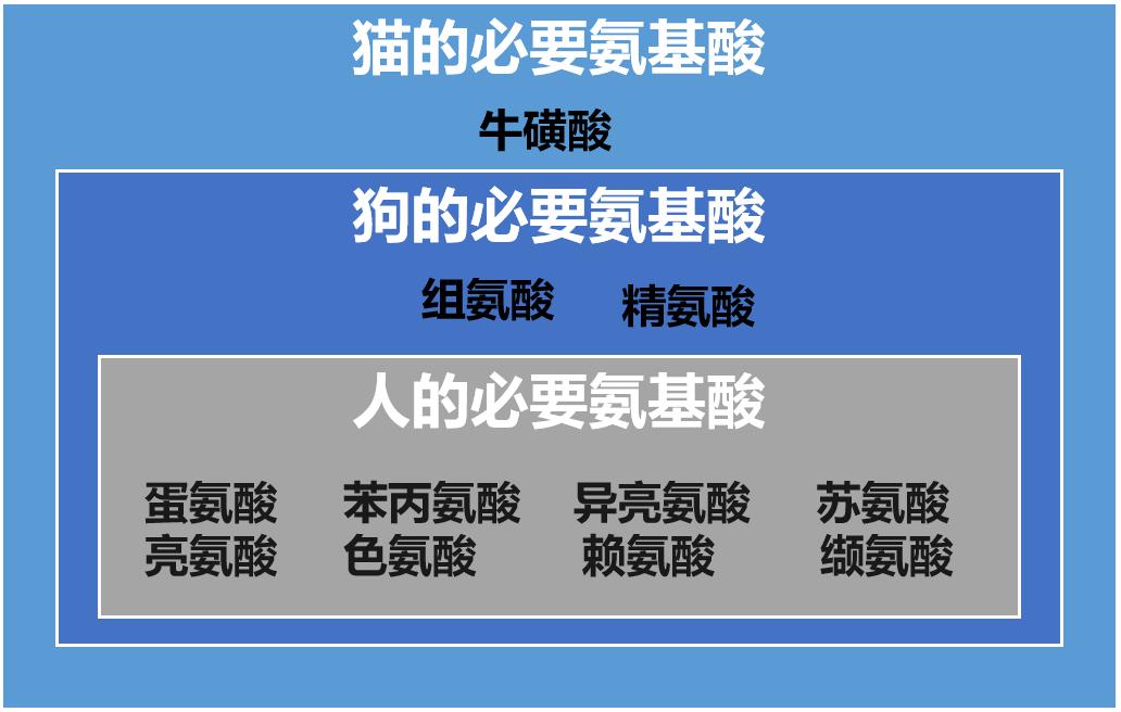 猫咪营养膏有蛋白质吗,猫咪营养膏功效