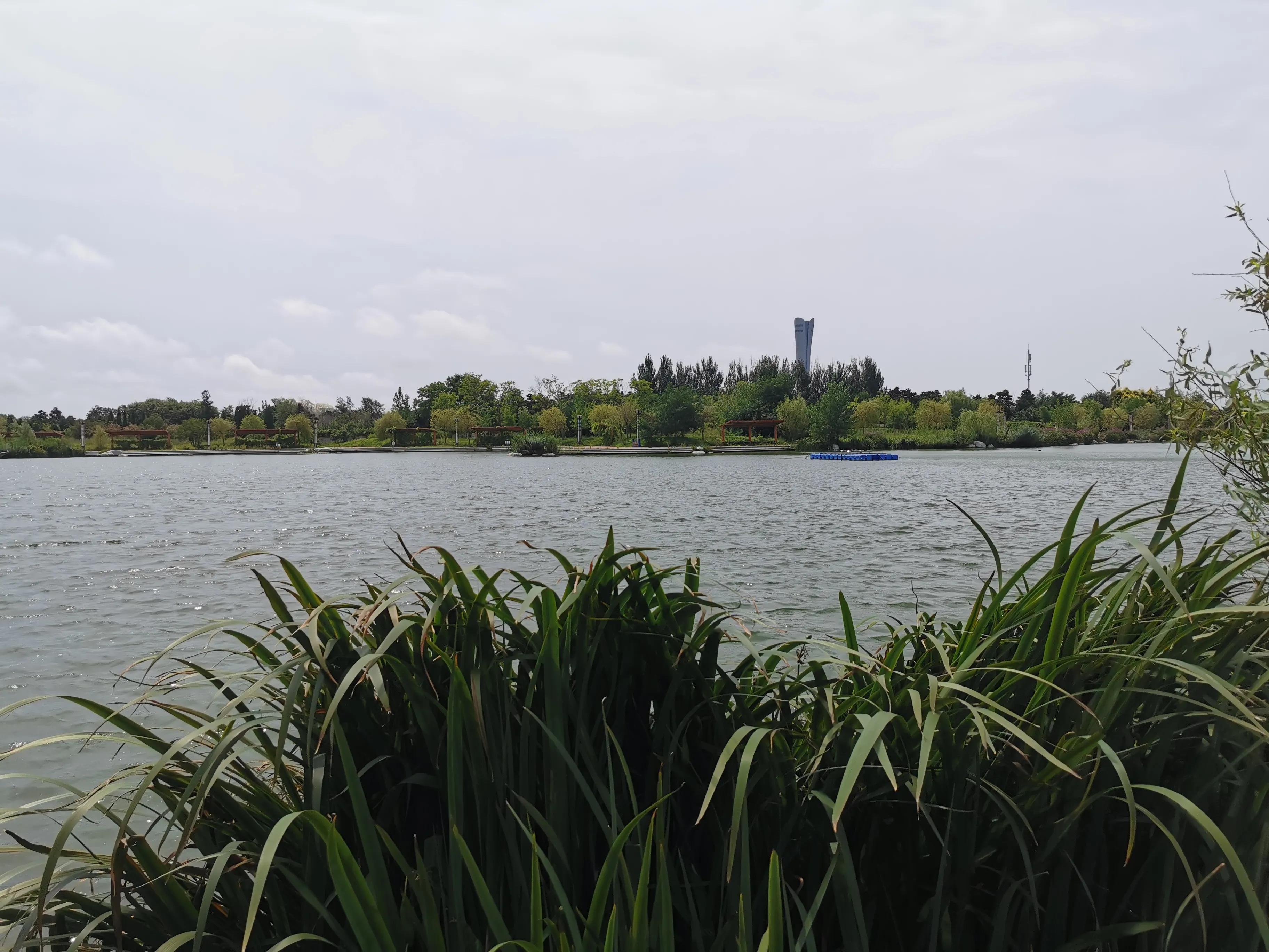 锦州世博园自驾游攻略路线,锦州世博园5个小时游玩攻略