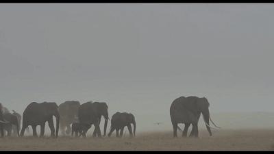 年度最佳女主角范冰冰,颜值与演技力压范冰冰