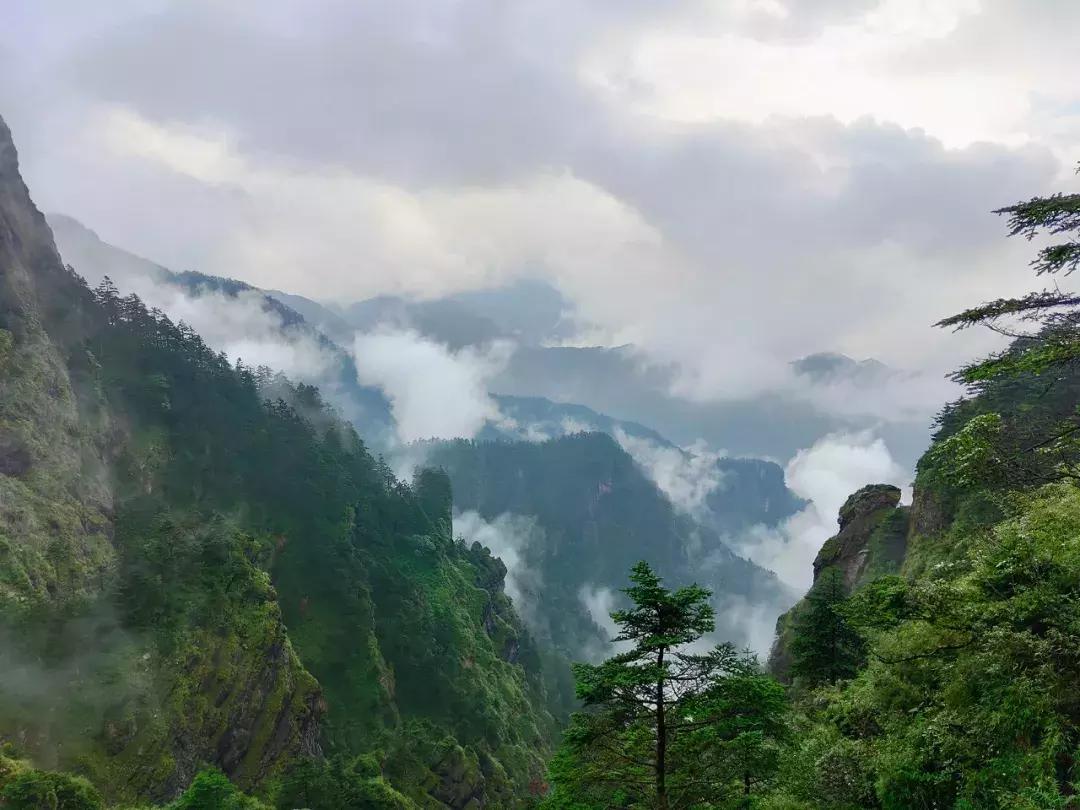 神农架攻略书,重庆出发神农架三日自驾游攻略