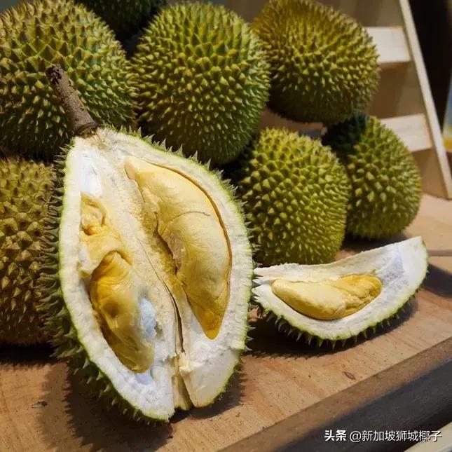 新加坡唯一的路边摊,新加坡路边摊美食推荐