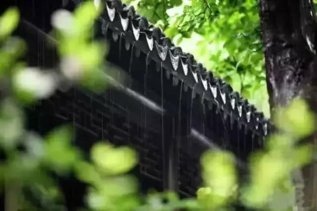 青梅时节诗词,青梅时节的诗词