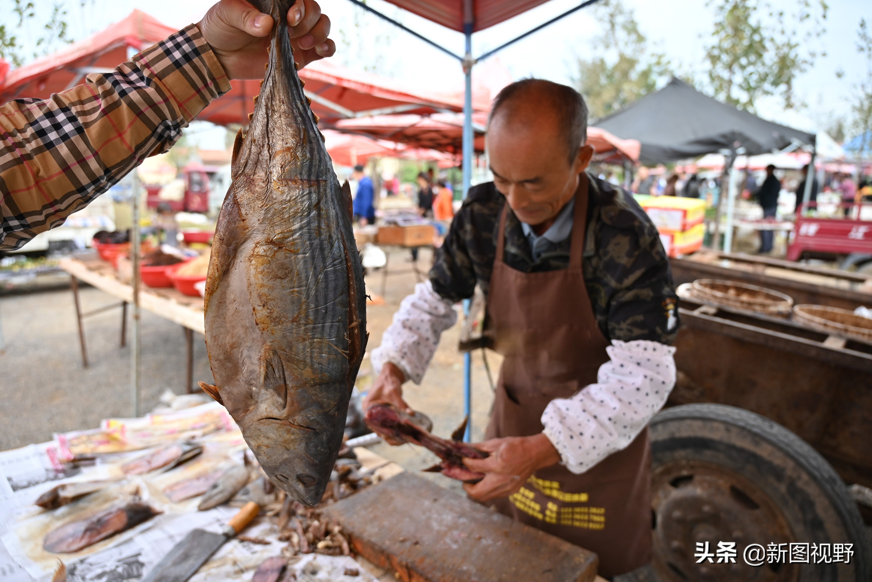农村夫妇卖鱼视频,市场卖咸鱼赚多少钱一斤