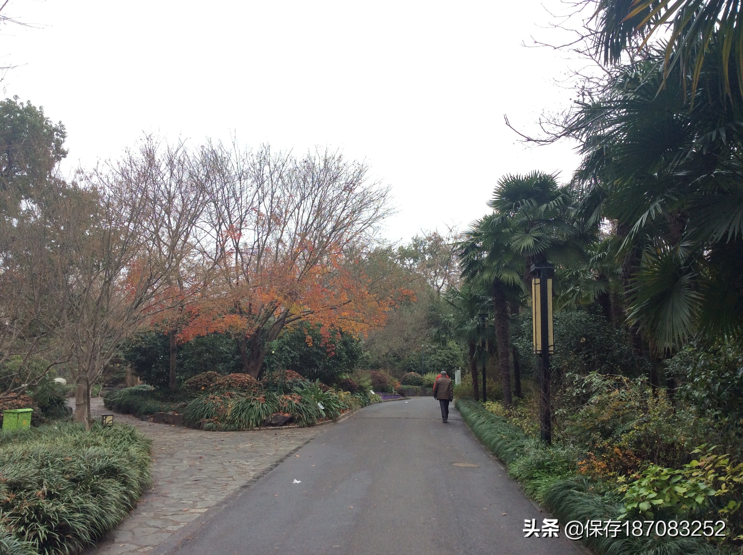 上海普陀山公园,普陀区长风公园在哪