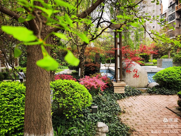 高新枫林华府住房,高新枫林华府小区评测