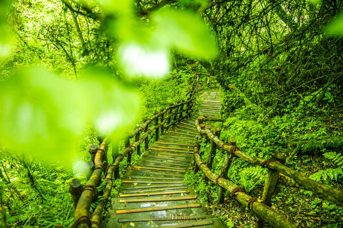 四川古蜀寻芳之幻梦朝天游玩攻略,都江堰古蜀寻芳