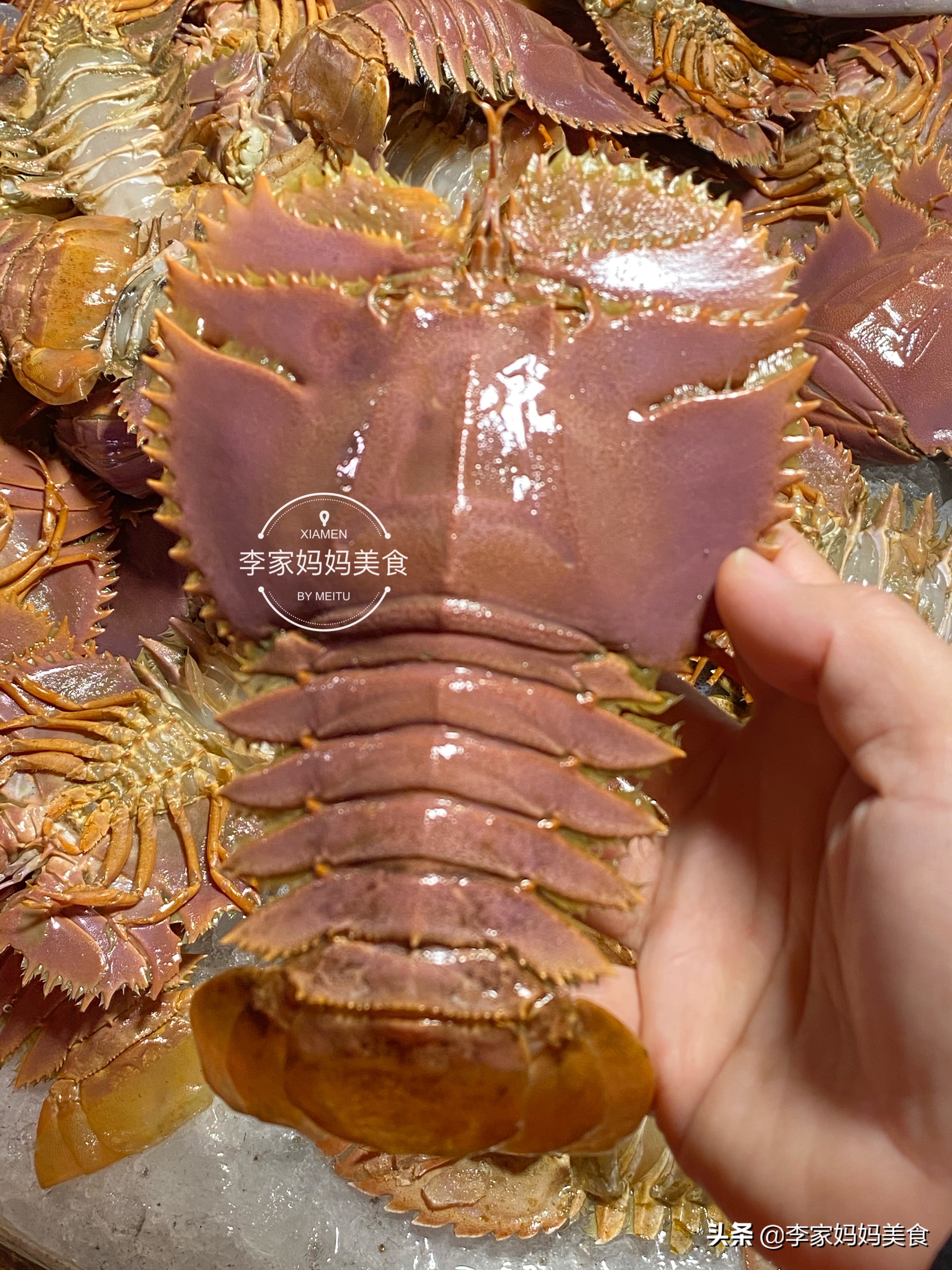 沿海特色海鲜,沿海海鲜推荐