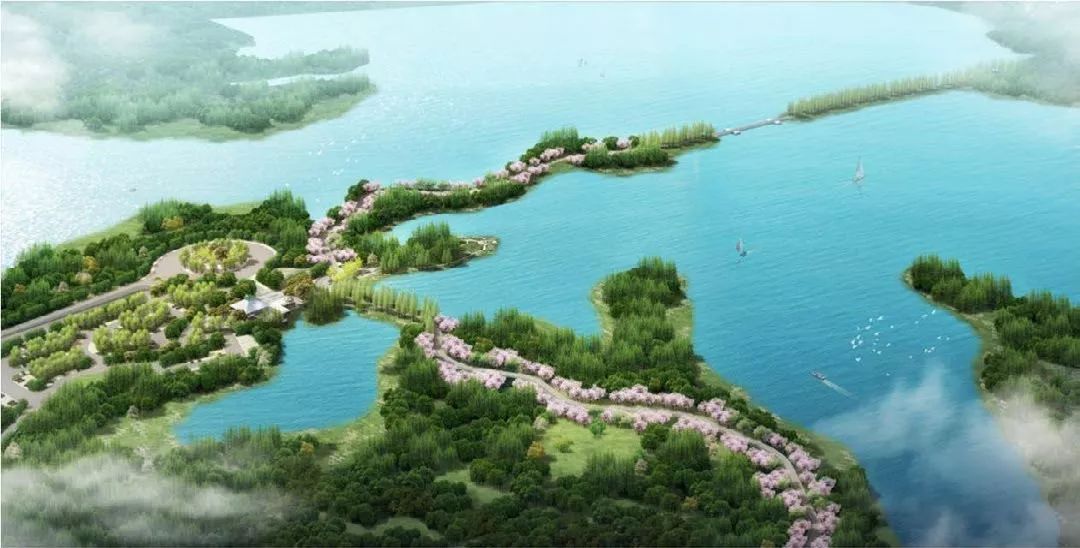 2020武汉大爆发,武汉再次爆发