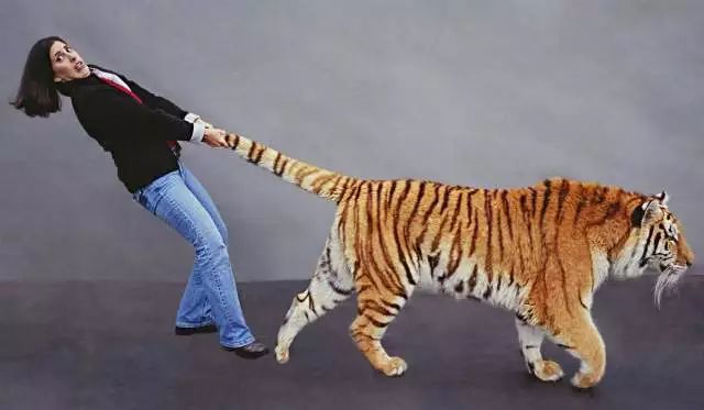 1马力到底有多大？和可以跑的“马”有关系吗？