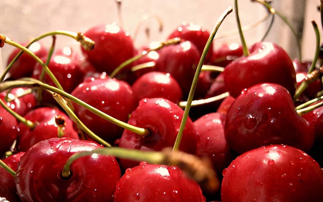 化疗后白细胞低吃什么鱼补得快,化疗后白细胞低到1.6是不是很危险