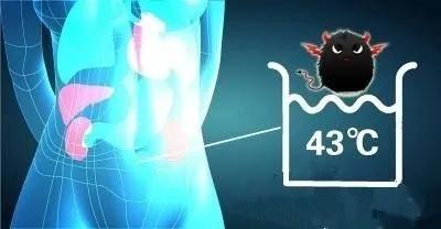 市二院肿瘤胸外科应用腹腔热灌注化疗技术为肿瘤患者健康保驾护航