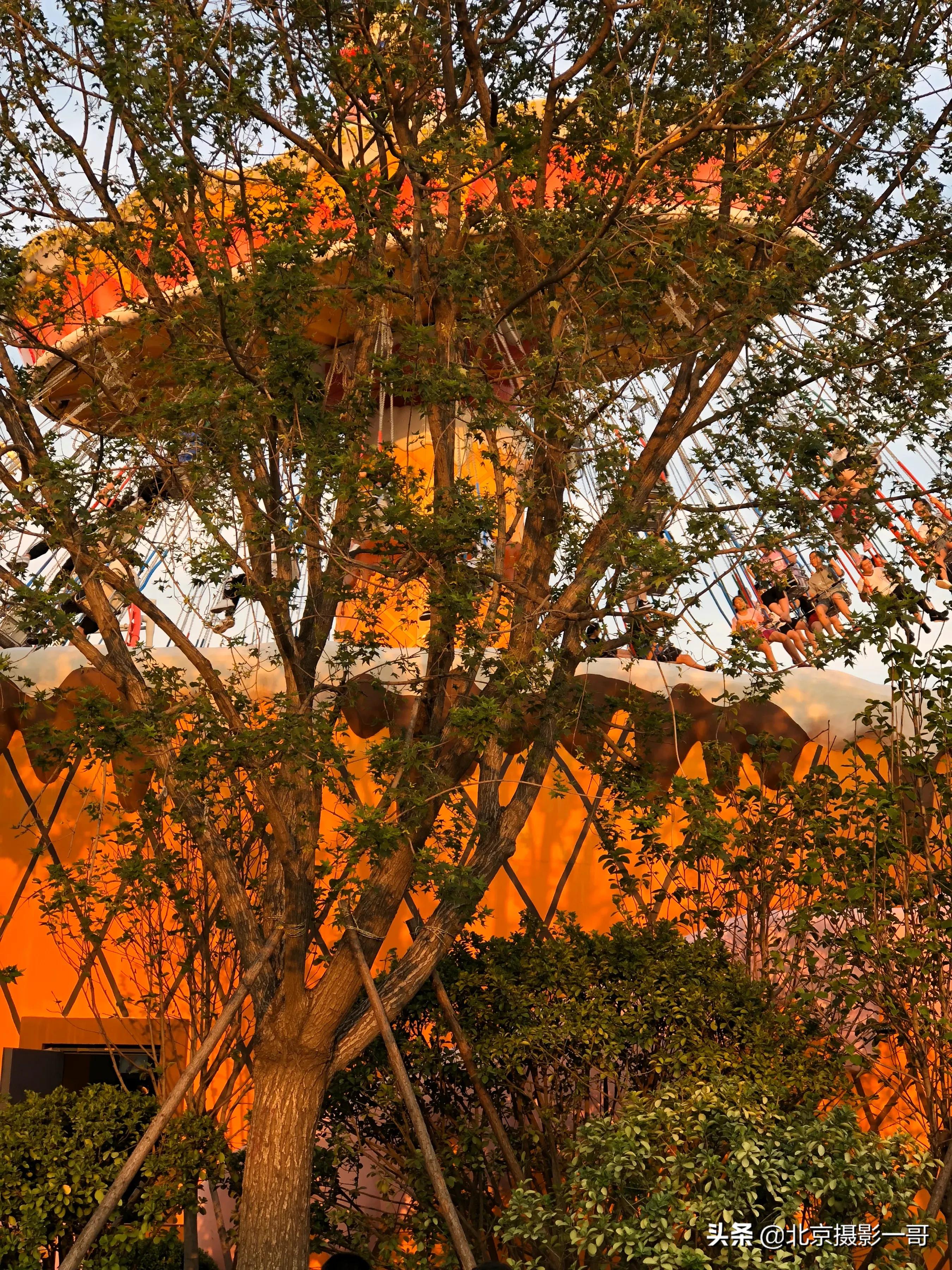 北京欢乐谷1.2米以下儿童可玩项目,北京欢乐谷雅鲁藏布大漂流小孩子