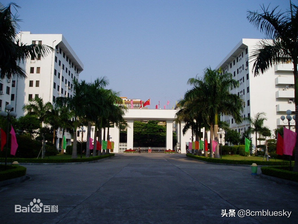 学医不代表什么都懂,学医不从医好吗