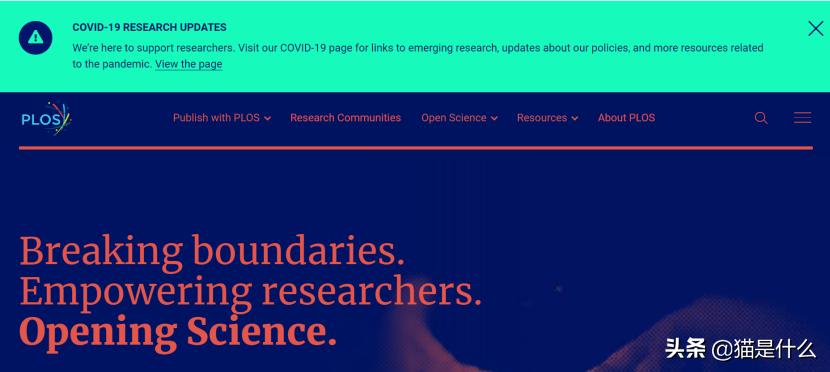 亲测可用音乐下载,亲测有效免费阅读