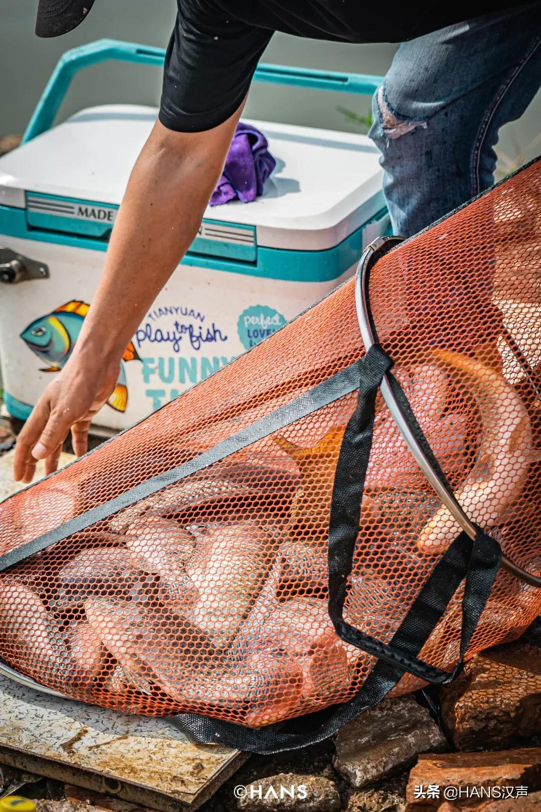 天元邓刚钓鱼属于什么水平,天元邓刚钓鱼最新视频现场