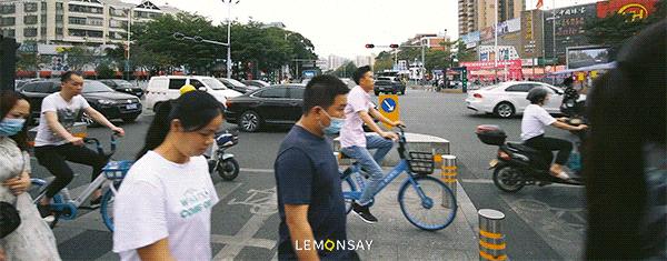 沙井的蚝,沙井为什么这么多蚝