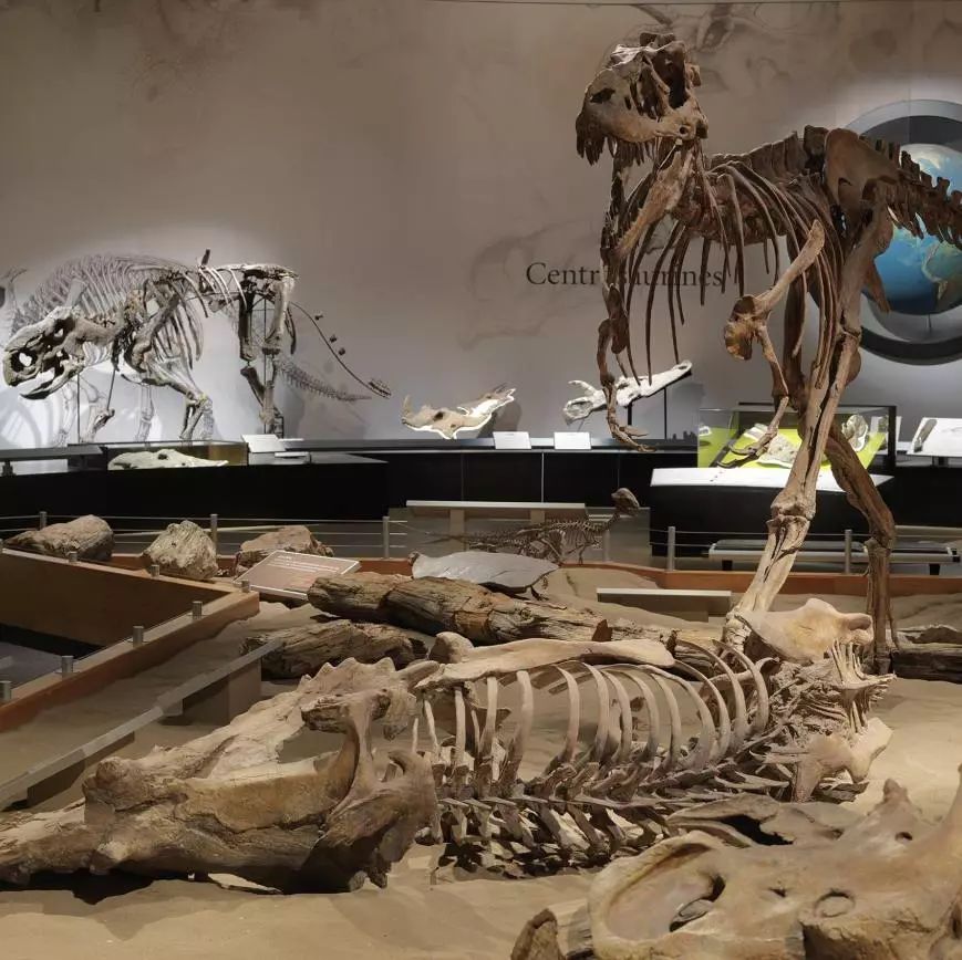 这场Dior杭州时装展，让我梦回2年前的加拿大