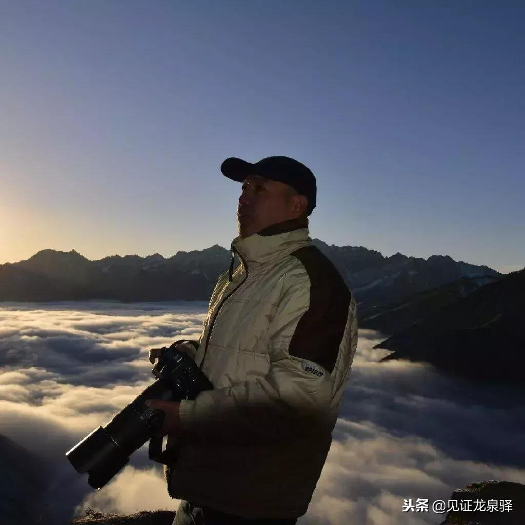 打卡青龙湖湿地公园,青龙湖湿地公园拍照技巧