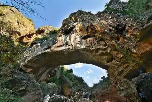 云品出滇入鲁,云品出滇简介