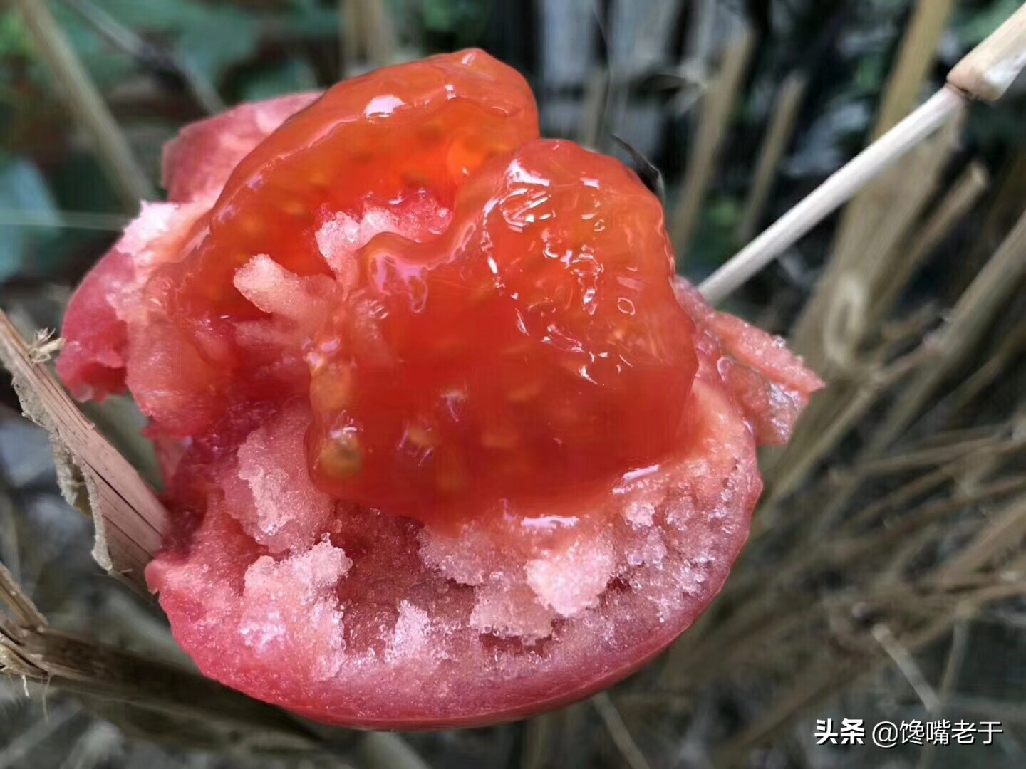 怎么挑西红柿又甜又不酸,现在的西红柿都那么硬