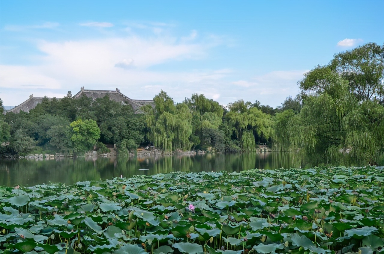 家长带孩子去北大孩子需要预约吗,家长带孩子去北京必去地方