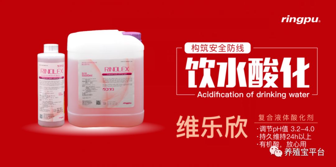 仅需一分钟，有机酸可分分钟杀灭活囊膜病毒