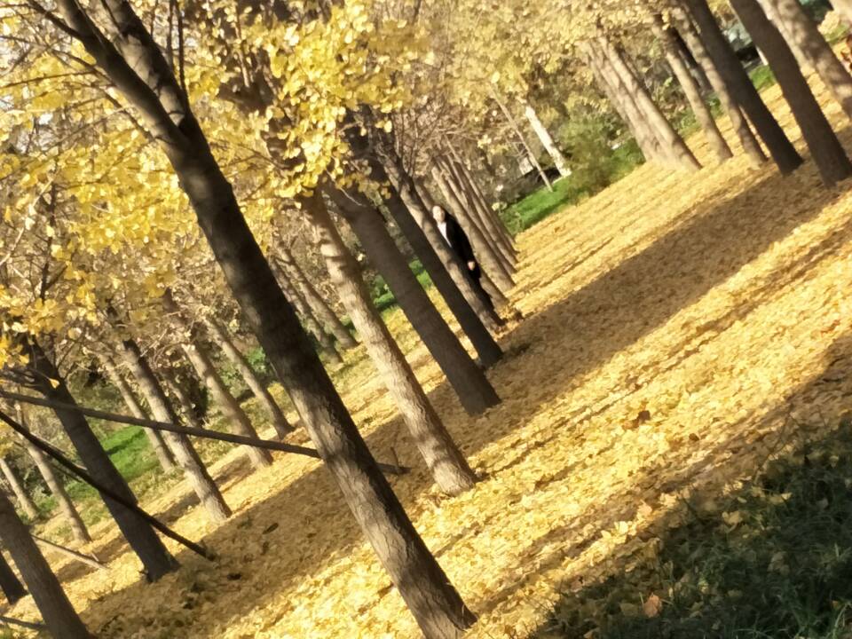 我的大学——河北政法