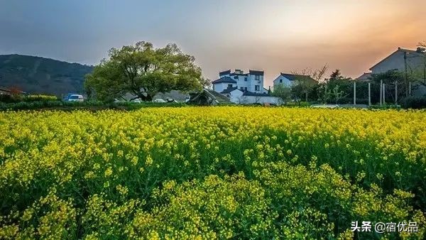 32张美景图片,苏州东山西山风景区哪个更值得去