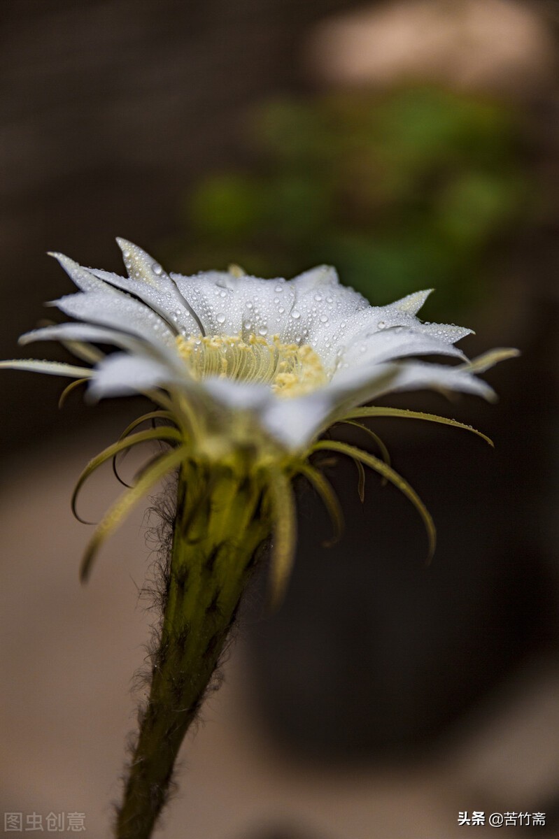 如何面对亲人对你的冷嘲热讽,如何正确的应对亲戚说教