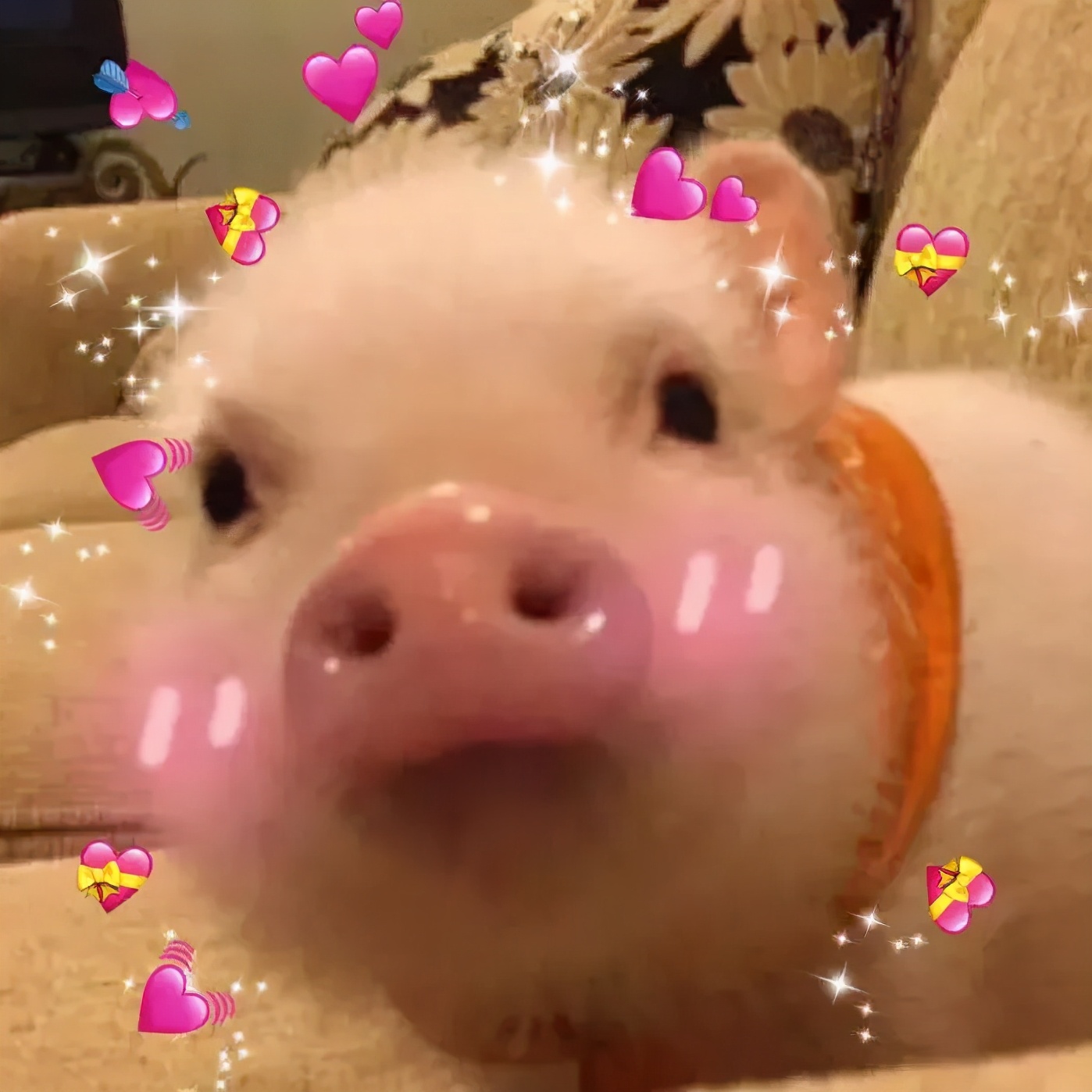 雅思7分零基础如何快速提分,雅思5分需要怎样做才能提分