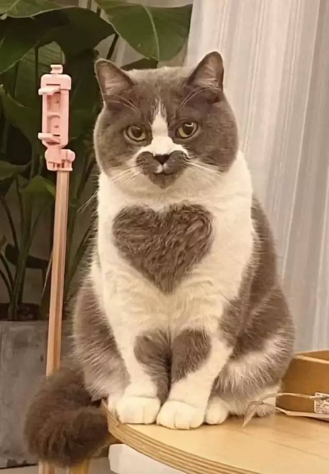 鼻子不通气鼻塞怎么办搞笑回答,鼻子堵住了怎么快速通气儿童