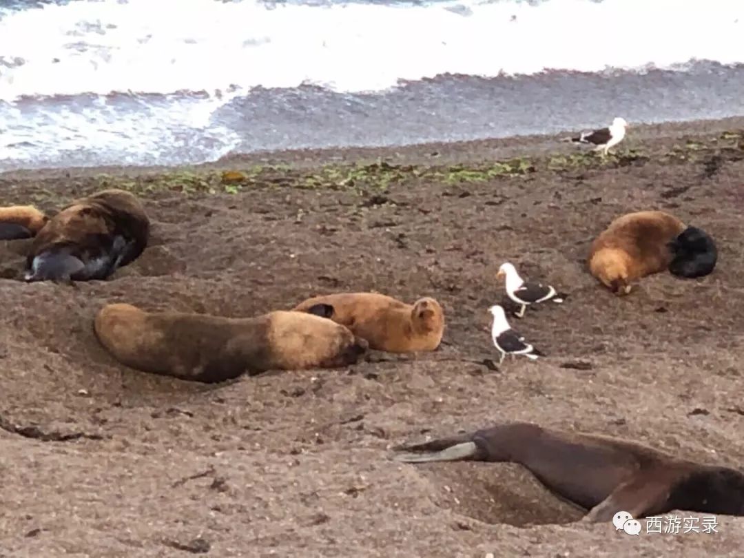 史上最牛沪C开到了世界尽头