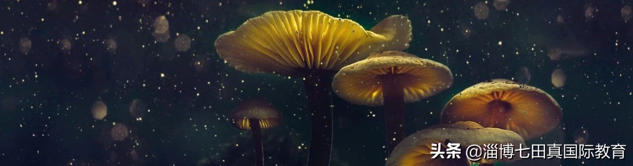 满满干货！这个抗病毒药在流感季节开的特别多，家里有的话快扔吧