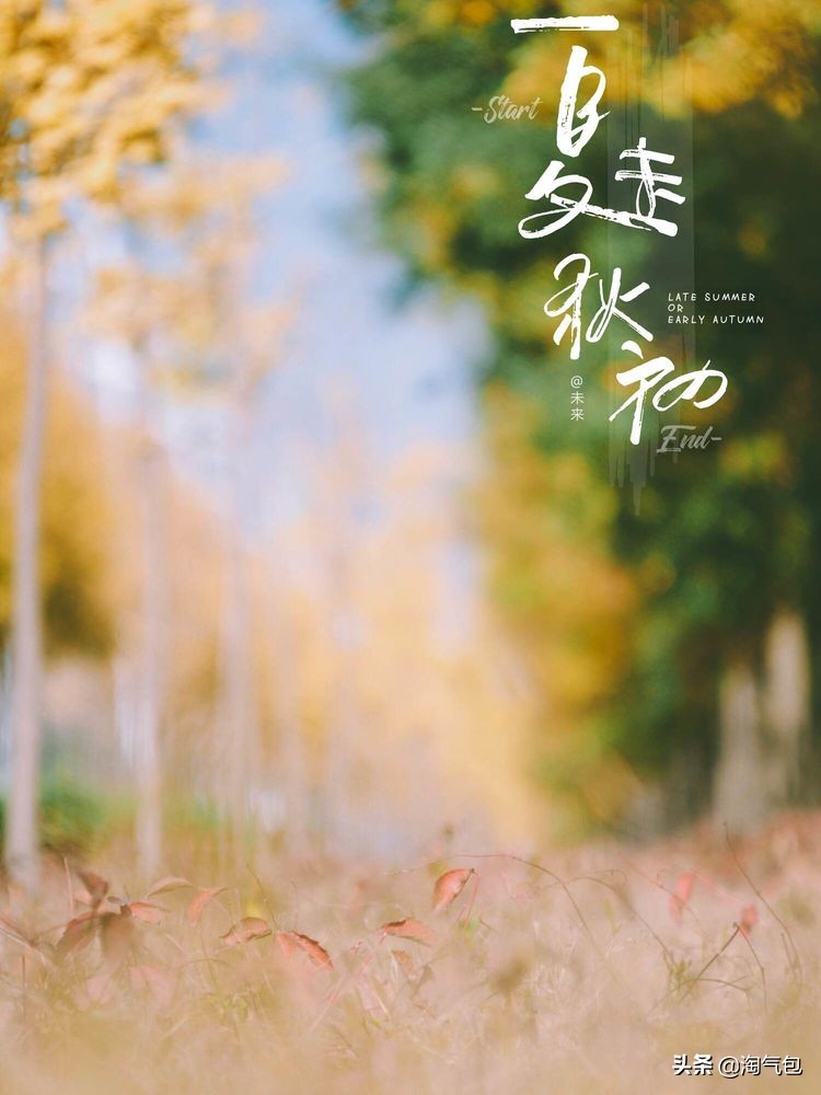 秋分一半热烈一半安详,秋分秋天分两半