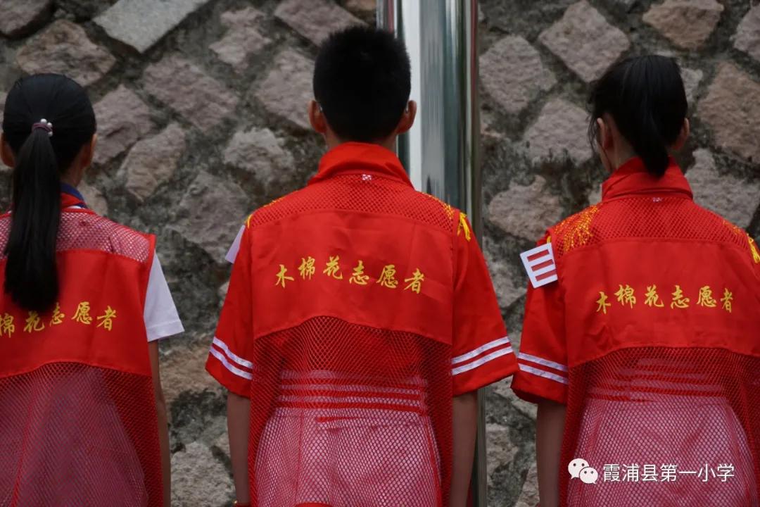 小小木棉花，校园小主人——霞浦一小“木棉花志愿者”小队成立仪式