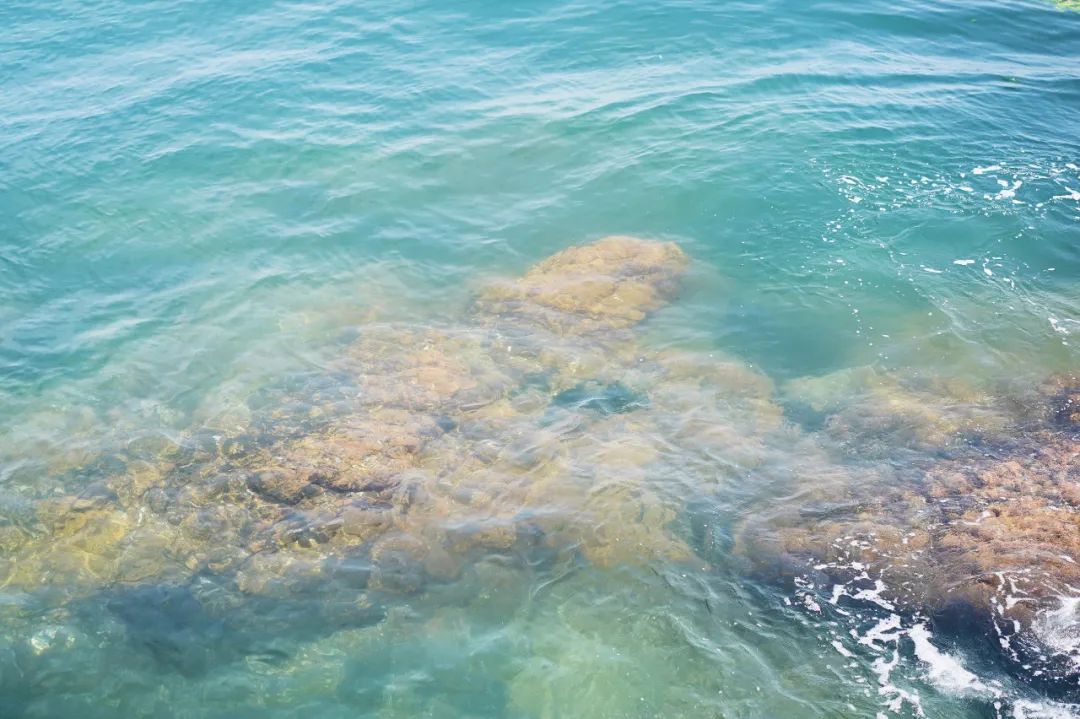 青岛的海给人很惬意,夏天青岛的海边热吗