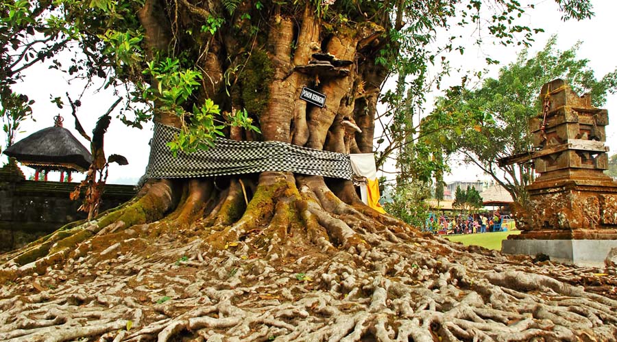 巴厘岛海神庙是哪个宗教,巴厘岛海神庙景点在哪里