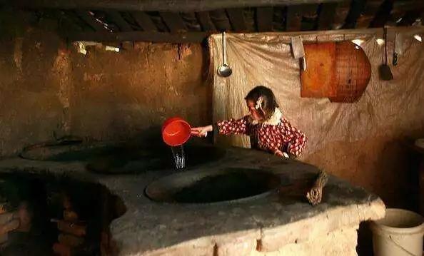 生活养花小妙招,昙花叶片变厚的秘诀