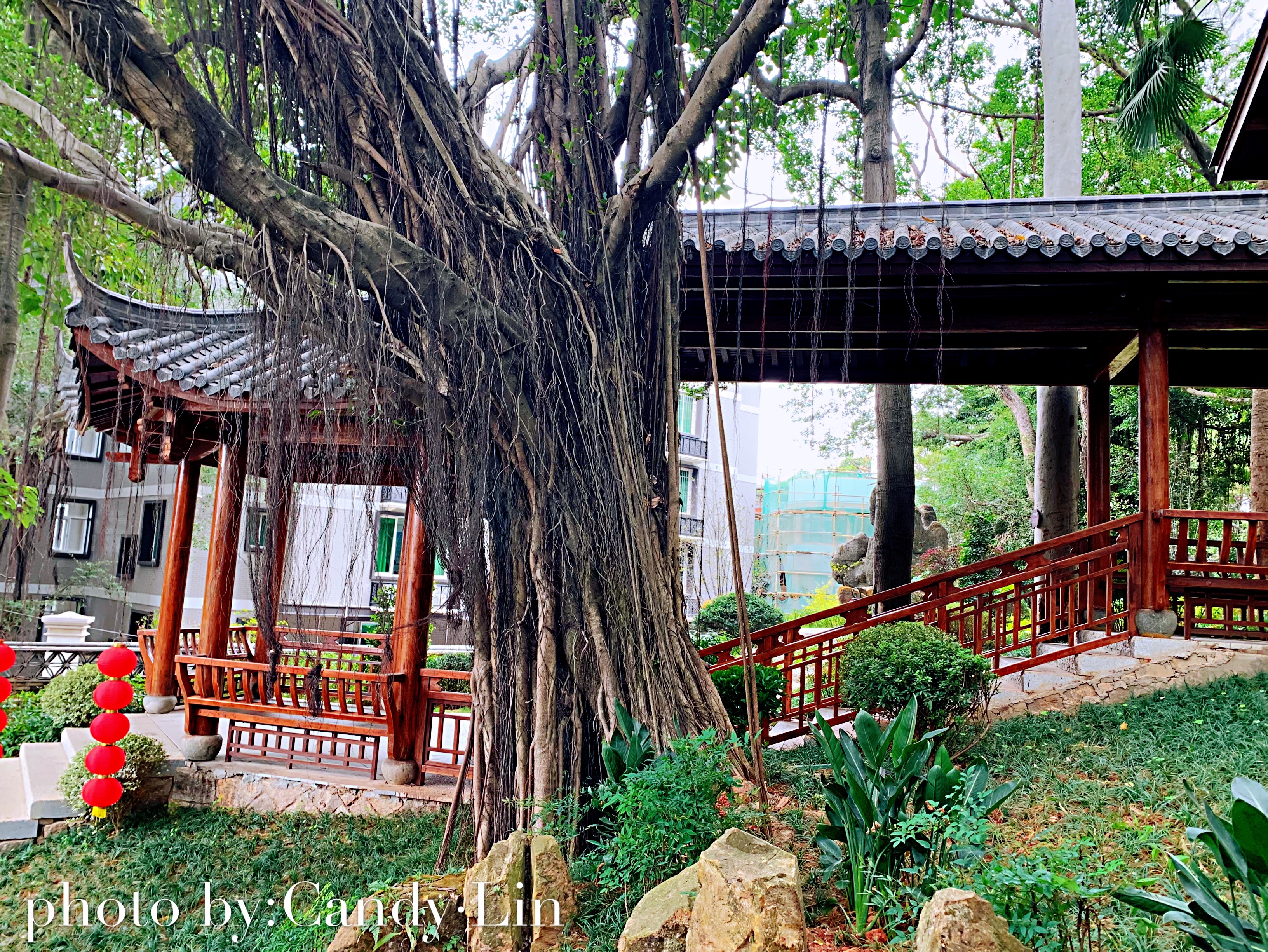 我的老仓山情怀，时光荏苒，你我如初