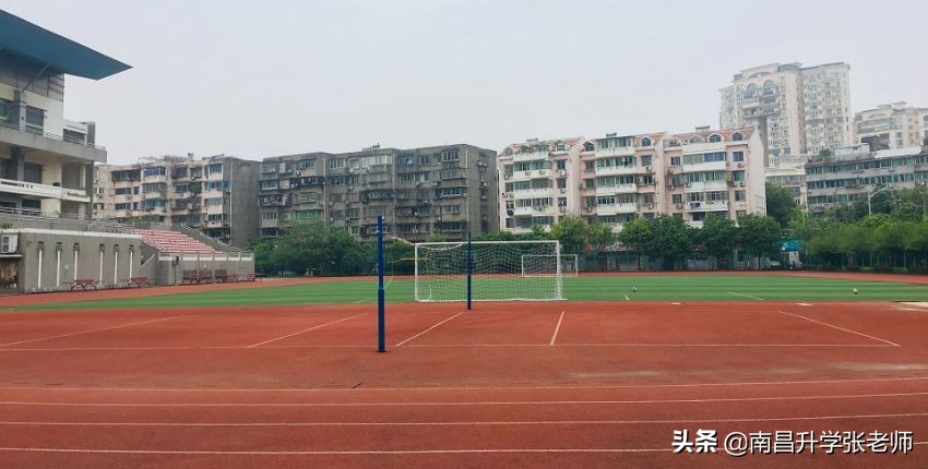 南昌百树外国语学校高新校区,南昌百树外国语学校