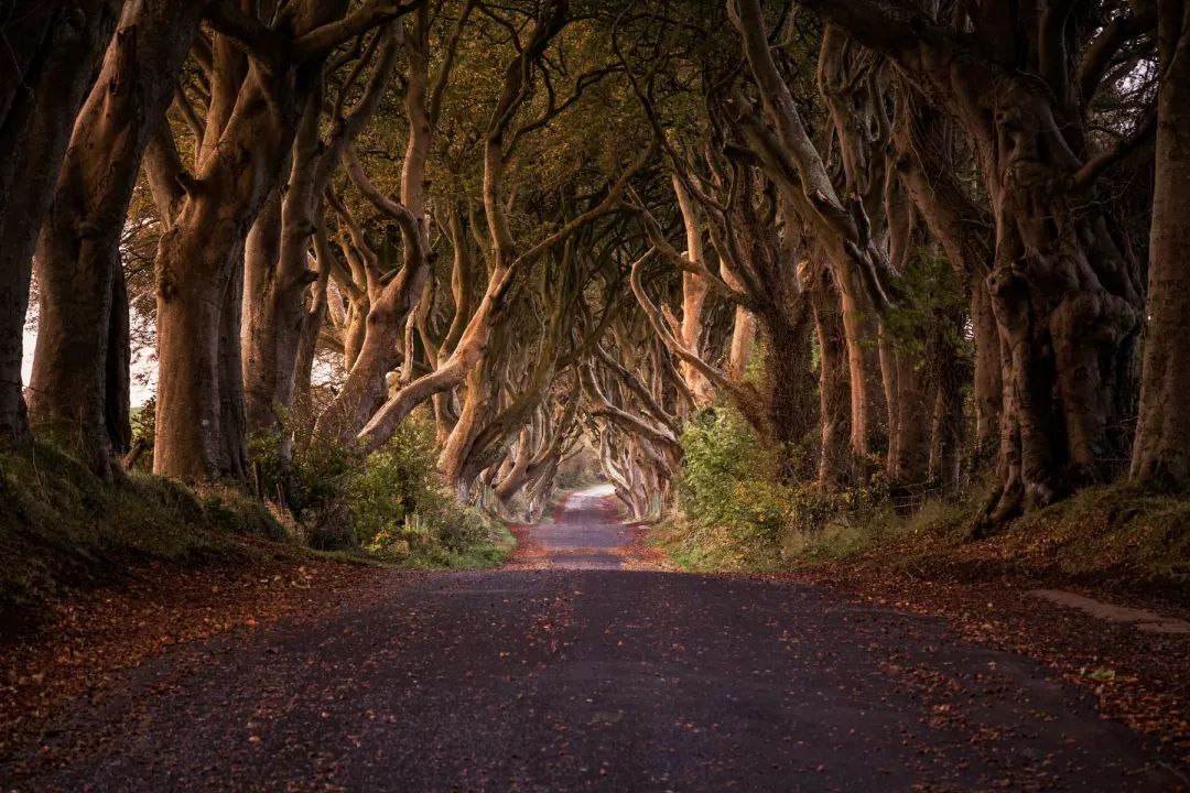 全球十大网红打卡景点,世界各地网红打卡景点