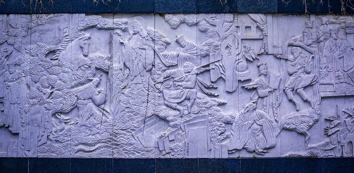 星湖冬日燃情，比落羽杉还要红的是什么？#我和湿地有个约会#