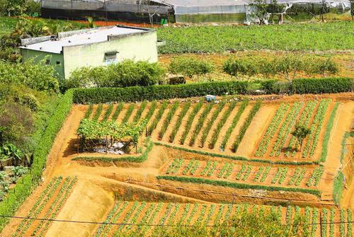 越南经济和我国哪个城市相当,中国和越南经济发展状况