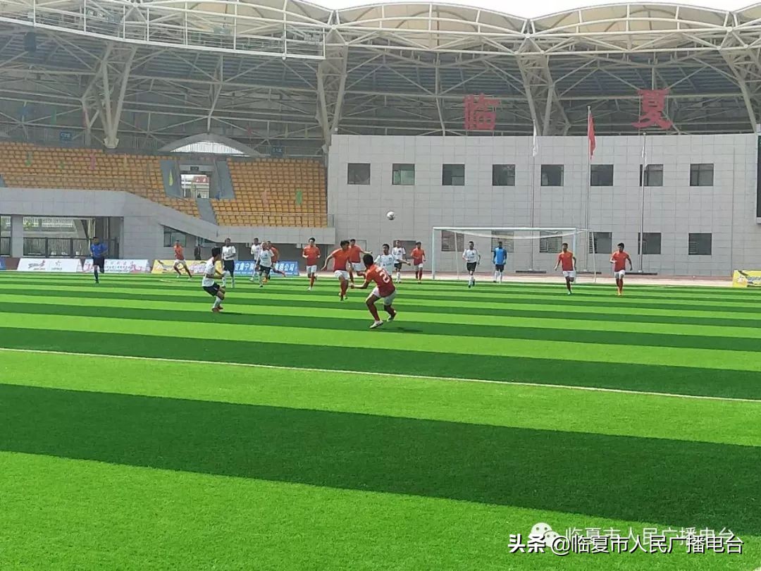 2021河州牡丹文化月系列活动,2019河州牡丹文化节