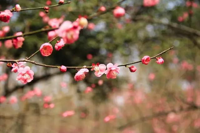 昆明徒步藏在郊区的童话山,昆明适合登山徒步的景点有哪些