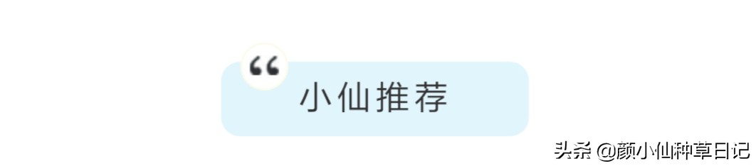 柳岩露出香肩,柳岩露锁骨